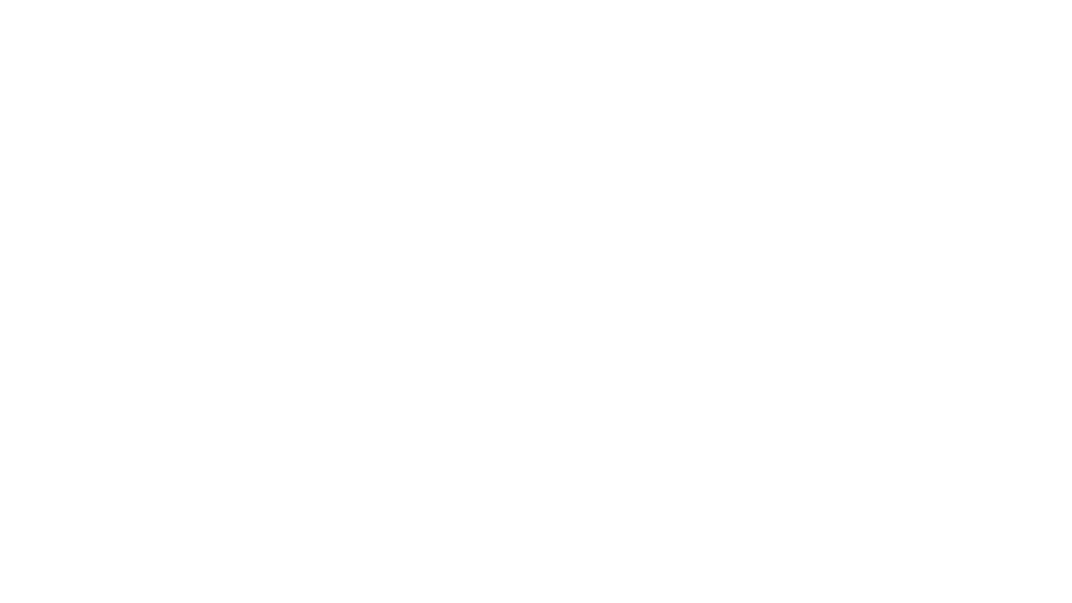 LS Retail